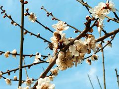 -堤角公园