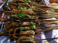 -晓靖轩烧烤(沙河风情店)