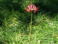 -白塘生态植物园