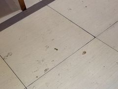 -富龙快餐店(铁西店)