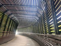 -昆山城市生态森林公园