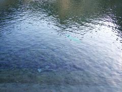 -大平台龙居瀑布旅游区