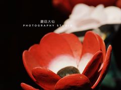 -Nathalie Djurberg与Hans Berg“牛皮纸包裹的月亮”-Prada荣宅当季展览