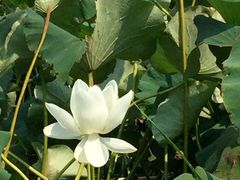 -江南大学(蠡湖校区)
