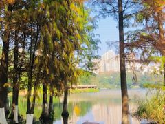 -重庆彩云湖湿地公园