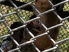 -长白岛森林公园