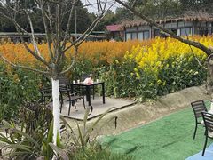 -洪湖家庭农场·团建·露营·会议