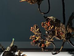 -中国江南水乡文化博物馆