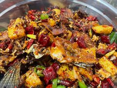 -风鑫铃罗非鱼(道沟店)