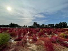 -汉长安城未央宫国家考古遗址公园