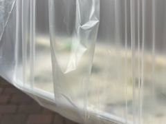 -舒蔡记生煎菜饭(云南中路店)