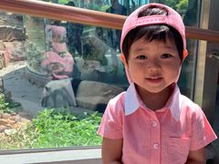 -大连森林动物园