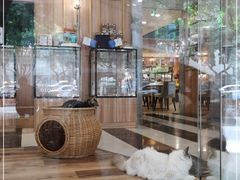 -袖虎·猫馆(体育西路店)
