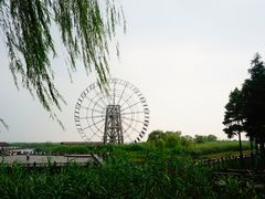 -太湖湖滨国家湿地公园-停车场