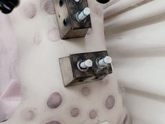 -上海中医药大学附属曙光医院(东部)