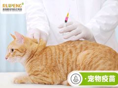 -瑞鹏宠物医院·骨外科·心肾科·肿瘤科(九亭店)