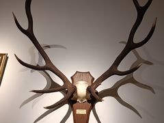 -中国紫檀博物馆