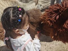 -新疆天山野生动物园