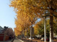 -韩国利尔面包(桂林路店)