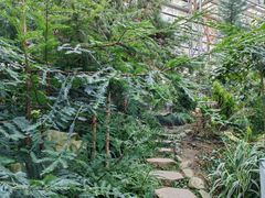 -南山植物园