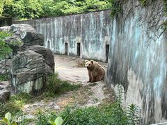 -宁波野生动物园
