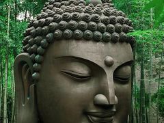 -杭州植物园