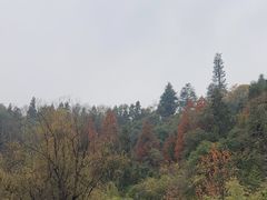 -天河潭旅游度假区