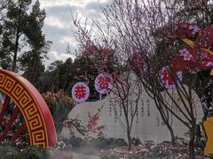 -南山植物园