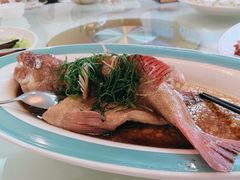 东星斑-品香菜馆(旗峰路中侨大厦店)