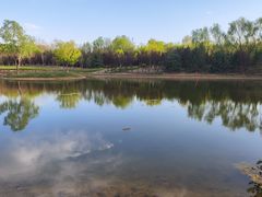 -永定河休闲森林公园