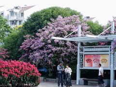 -杭州城北体育公园