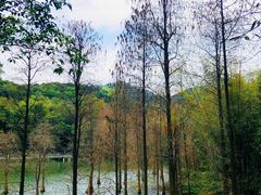 -广州市白云山风景名胜区