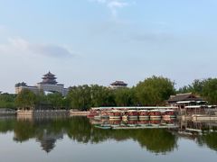 -莲花池公园