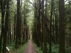 -同里国家湿地公园