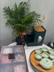 -木棉问题肌·肩颈·纹绣