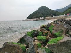 -杨梅坑