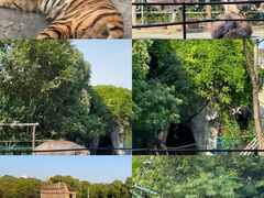 -南昌动物园