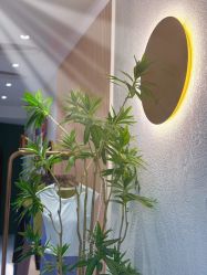 -水沐莲清瑜伽·普拉提