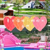 夏日溜娃～拥抱大自然[胜利]