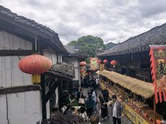 -后柳水乡