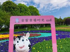 -秀丽东方