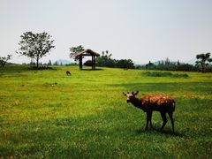 -良渚古城遗址公园