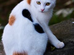 -广州市白云山风景名胜区