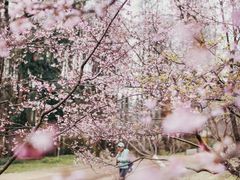 -杭州植物园