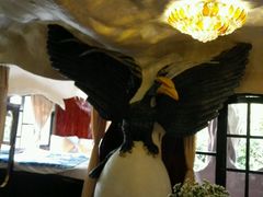 -疯狂屋
