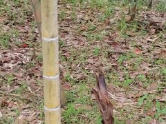 -明月山天沐温泉度假村