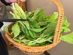 -佬肥猫(国华广场店)