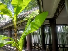 -墨池公园