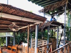 景观位-Rainforest