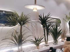 -兰湘子·湘菜小炒(崂山丽达店)